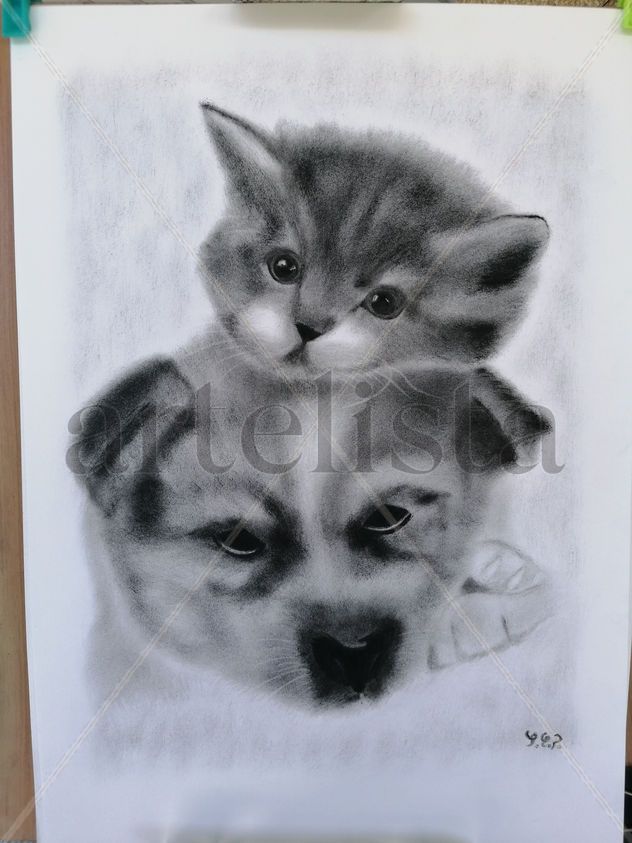 Perrito y gatito2