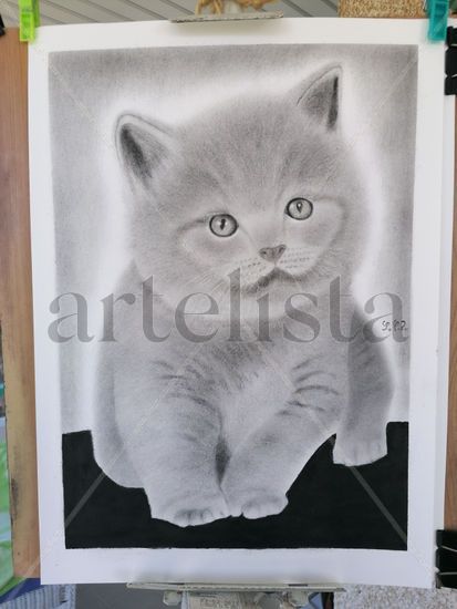 Gatuno Oil Paper Animals