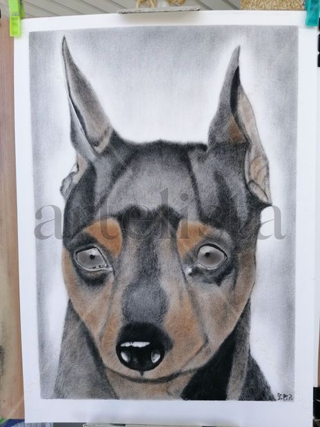 Chispita