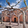Plaza de Viriato-Zamora