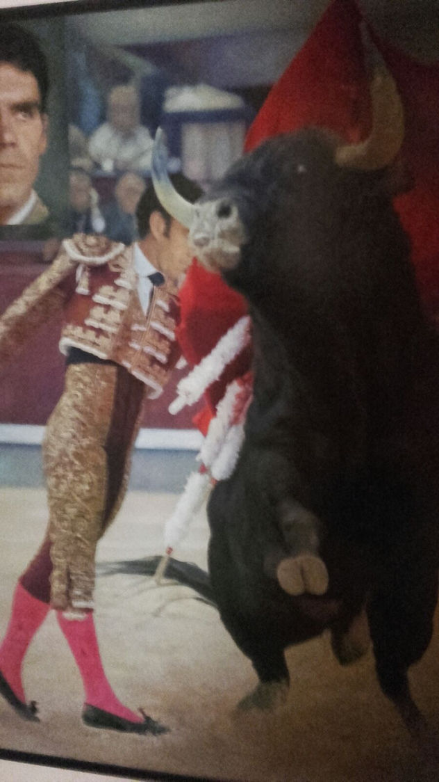 José Tomás ¨EL ARTE DEL TORERO