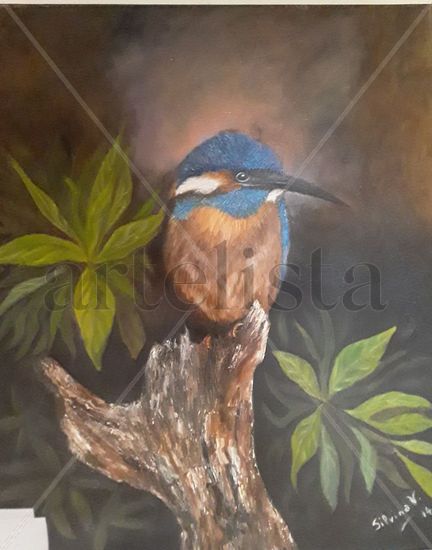 PÁJARO Oil Canvas Animals