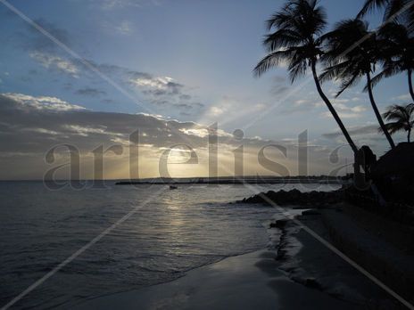 Atardecer entre...