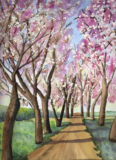 Almendros Acuarela Papel Paisaje