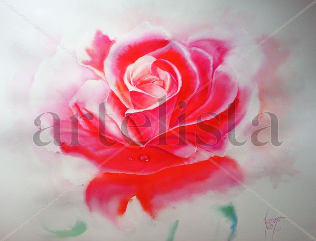 Rosa10 Acuarela Papel Floral