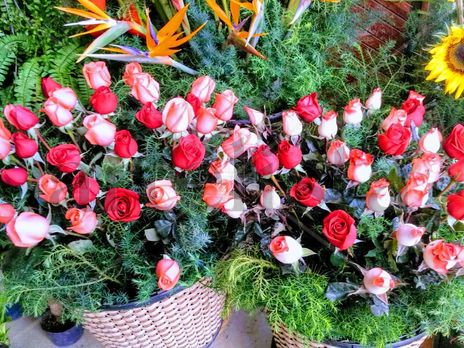 Cesta de flores