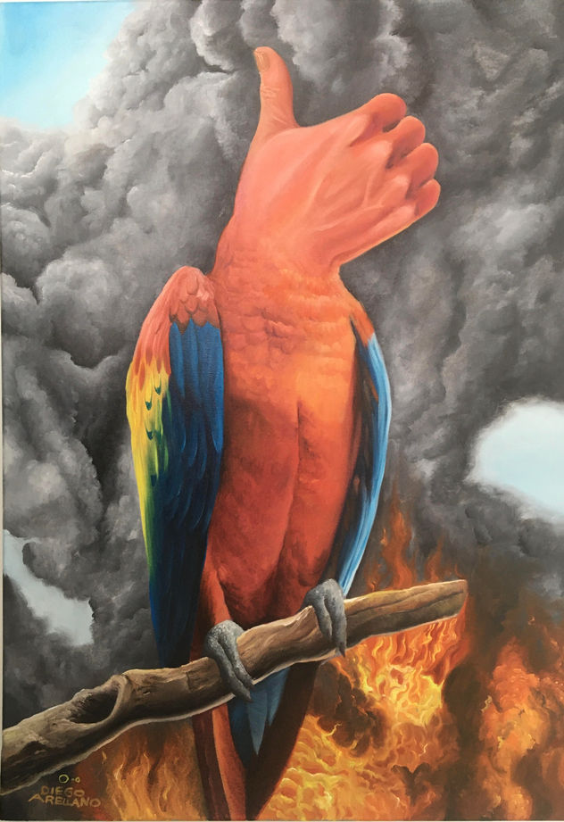okey macaw