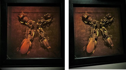 Broches insectos