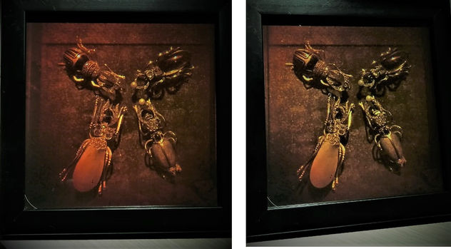 Broches insectos