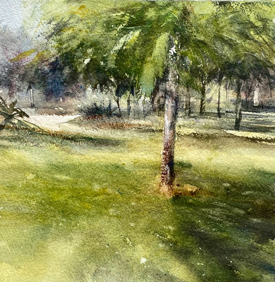 Mimosa Watercolour Paper Landscaping