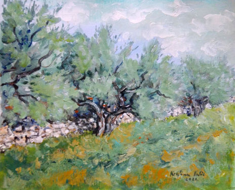 Olive trees