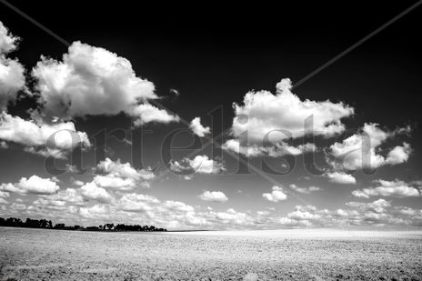 En blanco y negro,...