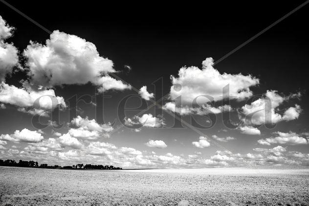 En blanco y negro, desértico.