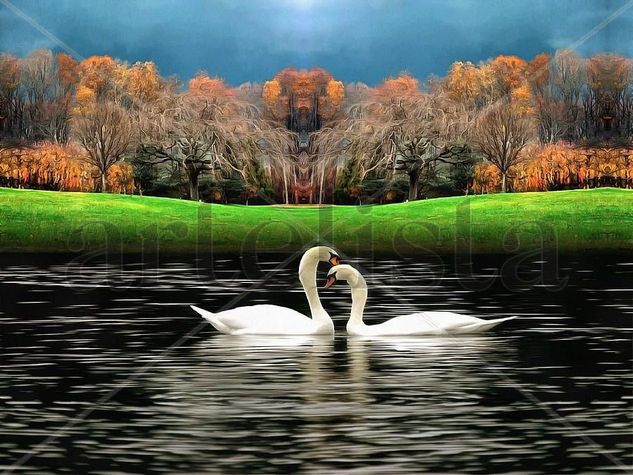 Swans Oil Canvas Animals