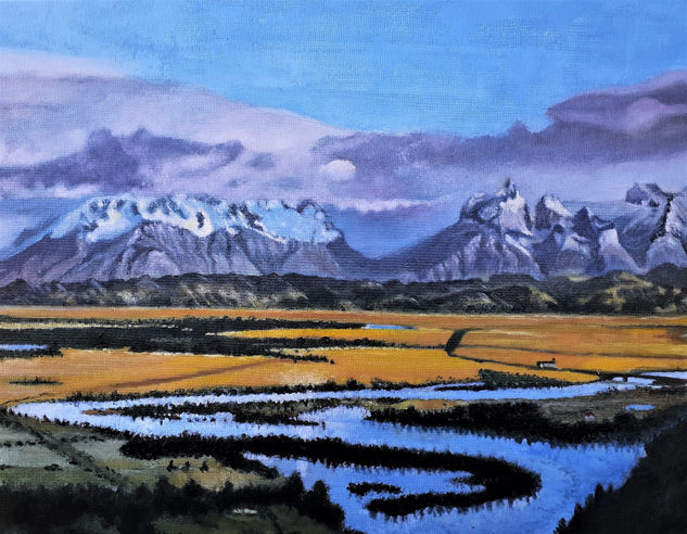 Vista Torres del Paine Oil Textile Landscaping