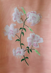 Lilium