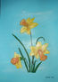 Narcisos