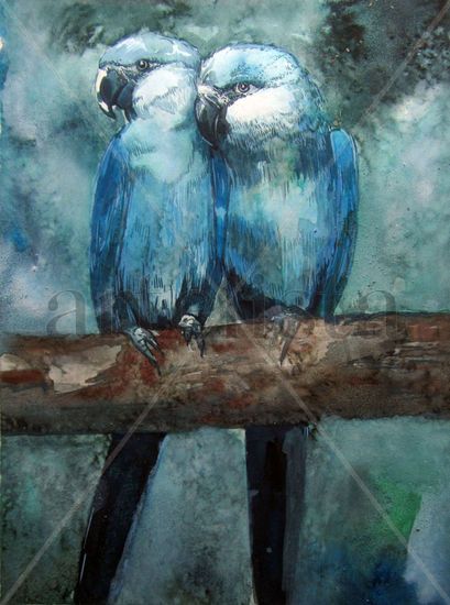 Couple Macaw Acuarela Papel Animales