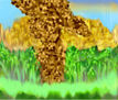 Guajiro