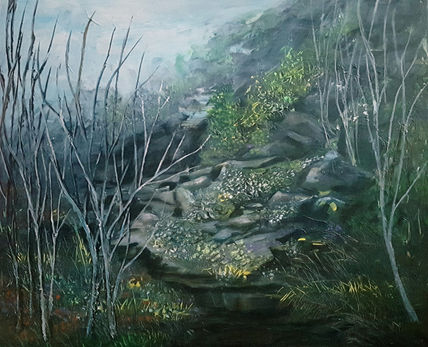 Cañones del sil