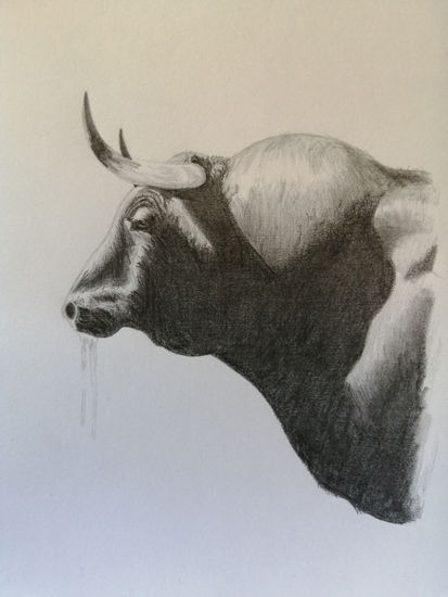 Toro Pencil