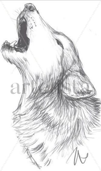 Lobo
