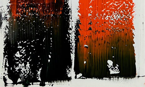 Acción Color