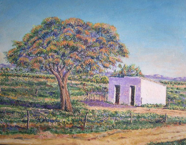 LOS POZOS - ISCHILIN