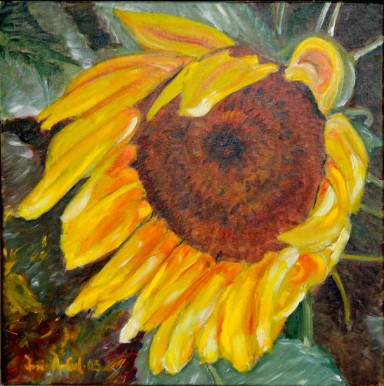 GIRASOL MELOSO Oil Canvas Floral Painting