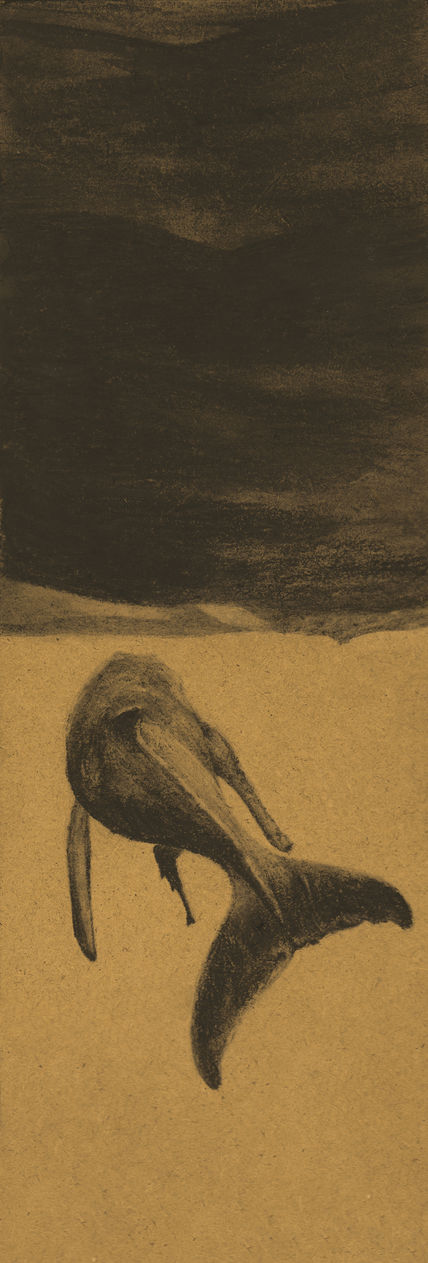 Ballena