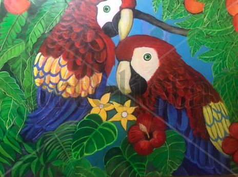 Guacamayas