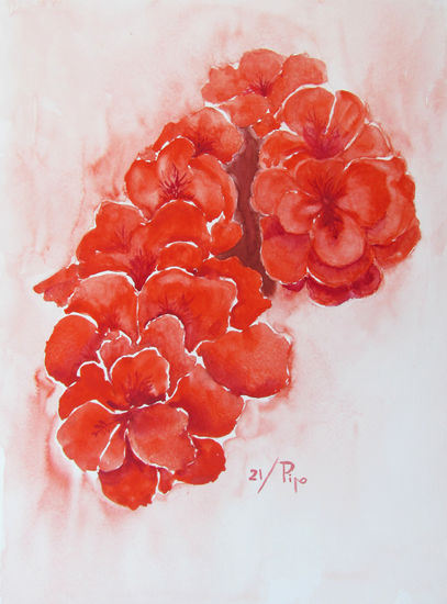 geranio rojo Watercolour Paper Floral Painting