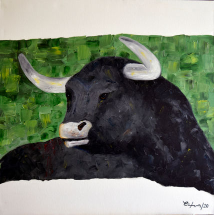 Le taureau