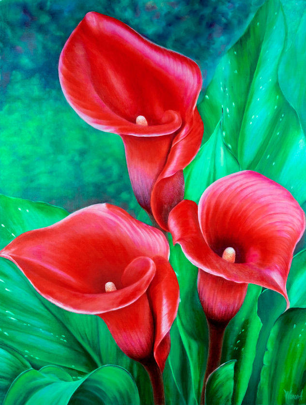 CALAS ROJAS