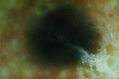 universo figurativo.6