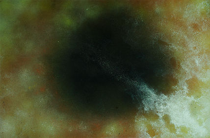 Universo figurativo.6