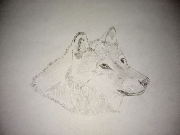 Vulf Pencil