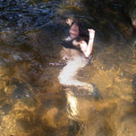 Dorado thumbnail 2