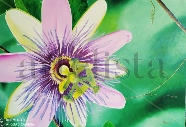 Flor de Mburucuya