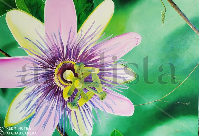 Flor de Mburucuya Oil Canvas Floral Painting