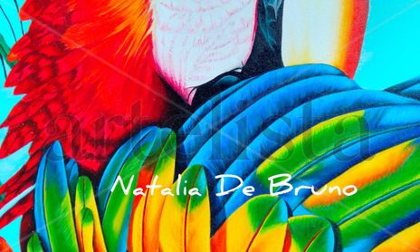 Serie colores