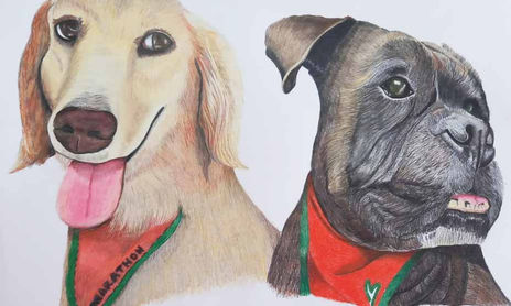 Perros