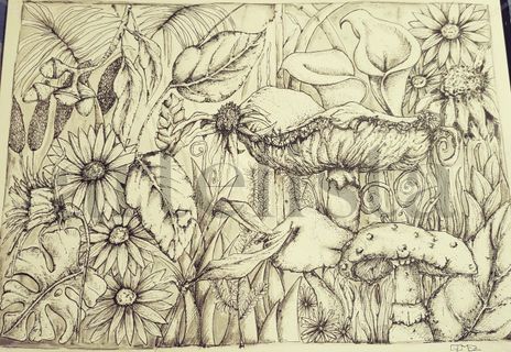 Jardín