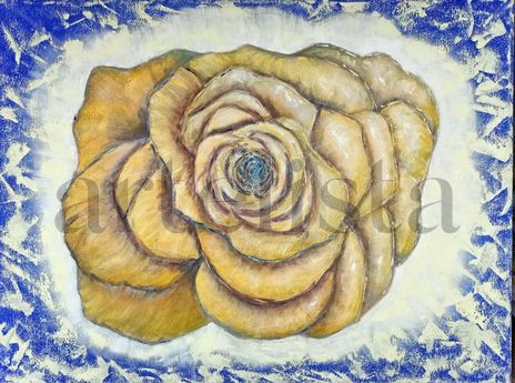 Rosa in fiore