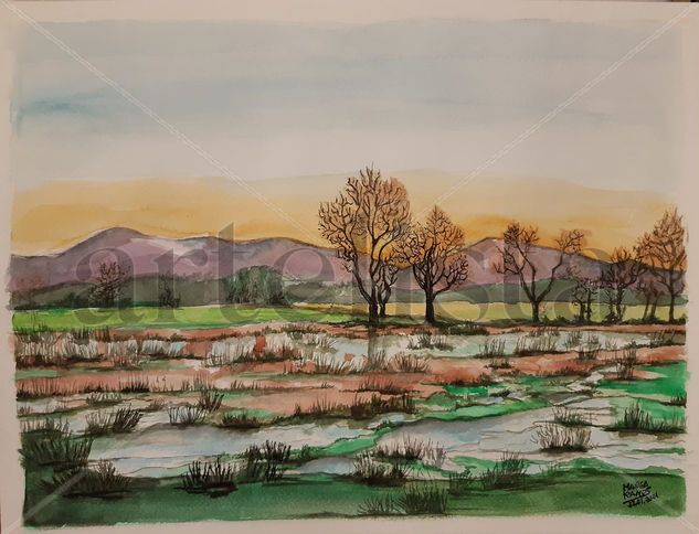 Chaira asolagada Watercolour Paper Landscaping