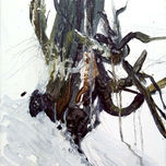 FOLK thumbnail 2