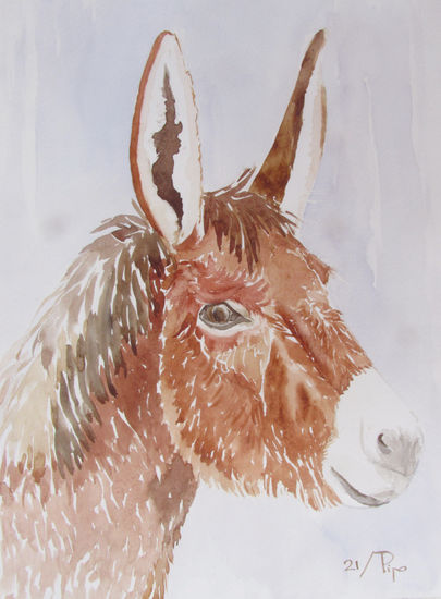 burriquito Watercolour Paper Animals