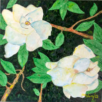 Gardenias