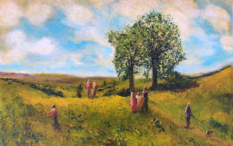 En el campo