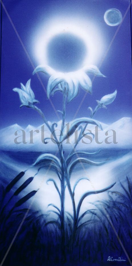 Fiore e luce